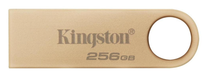 Флешка Kingston 256 GB DataTraveler SE9 Gen 3 Gold (DTSE9G3/256GB)